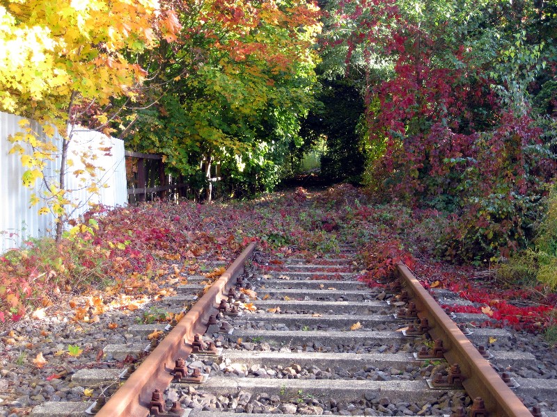 ../Images/Radtour111008 021.jpg